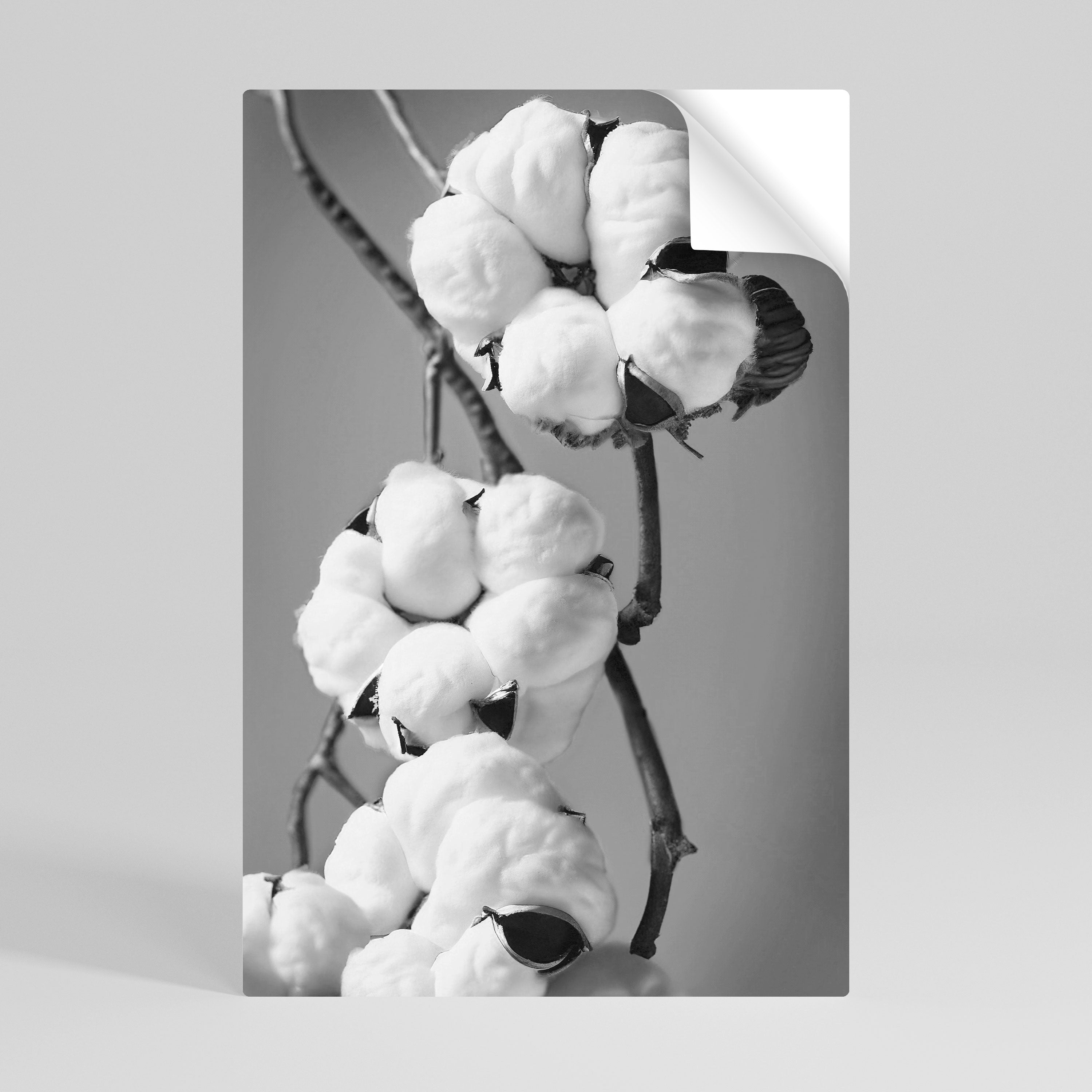 COTTON DREAMSCAPE Peel and Stick Vertical Poster