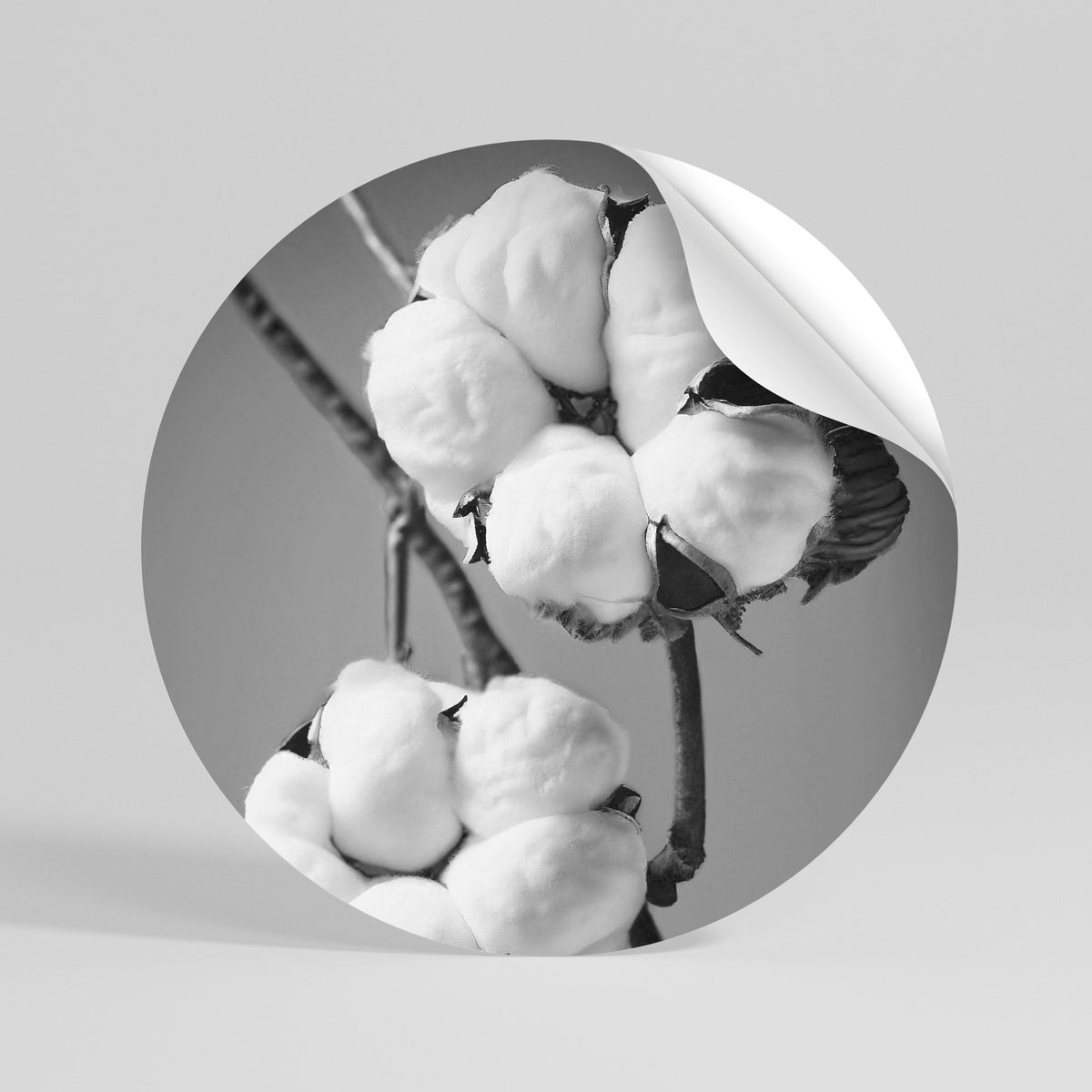 COTTON DREAMSCAPE Vinilo adhesivo redondo