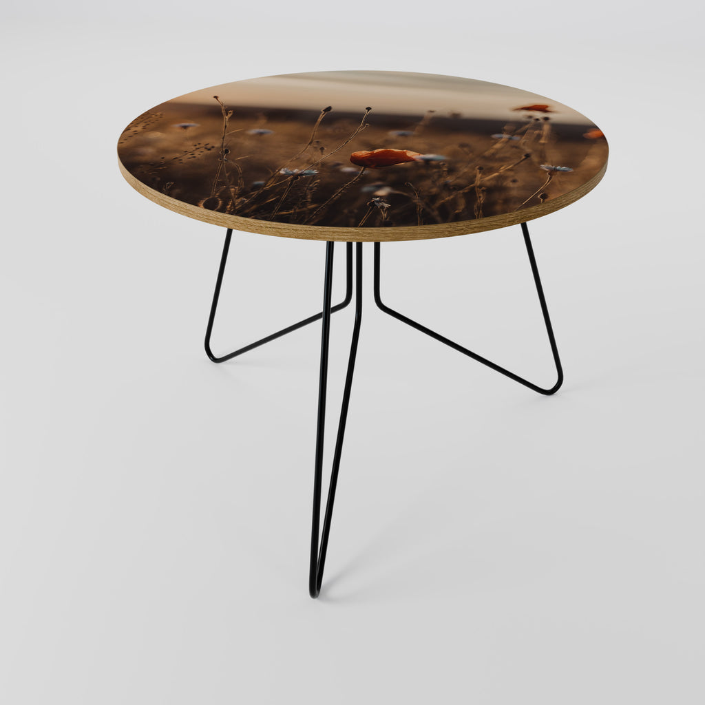 PRADOS RESPLANDECIENTES AL ANOCHECER Mesa de centro 69