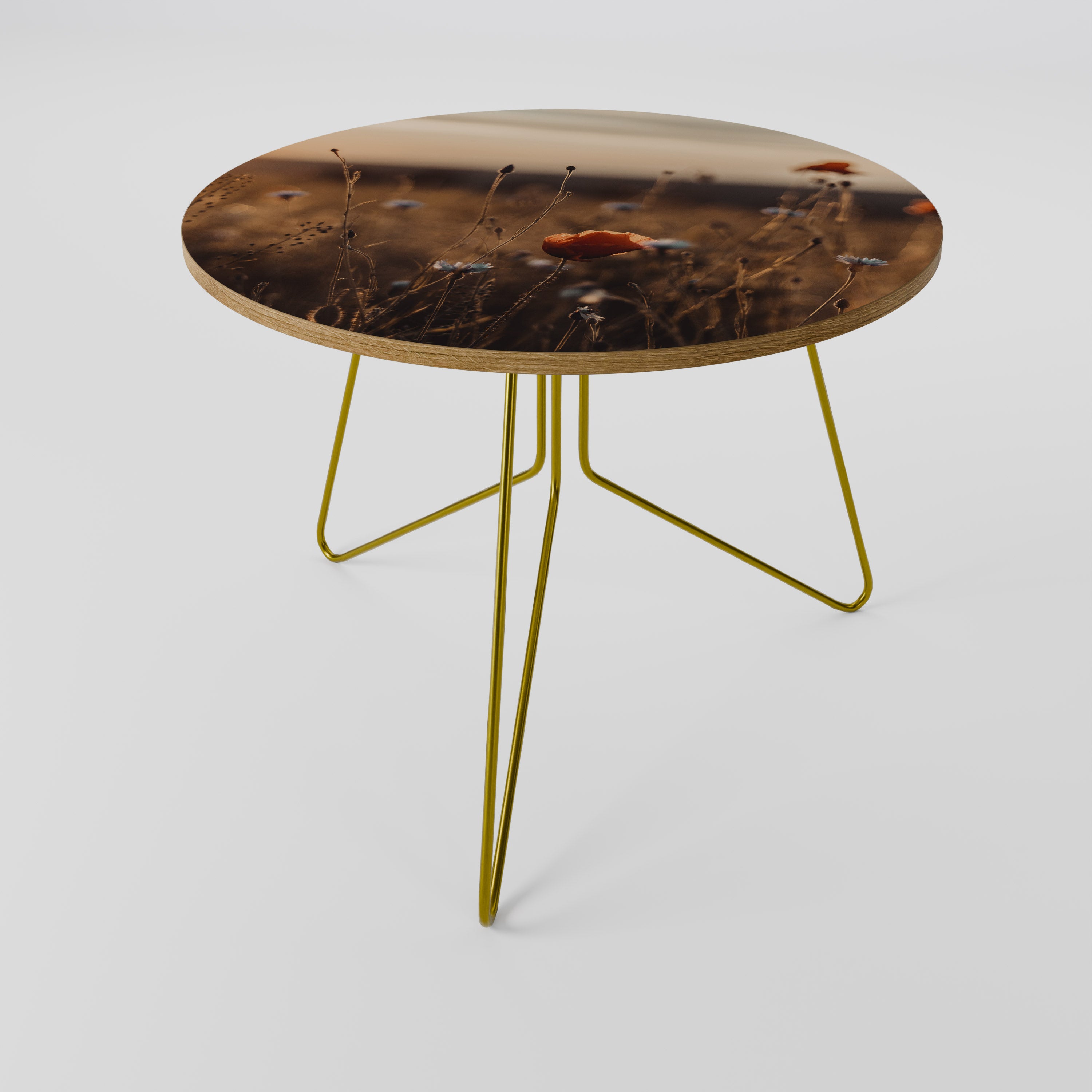 PRADOS RESPLANDECIENTES AL ANOCHECER Mesa de centro 69