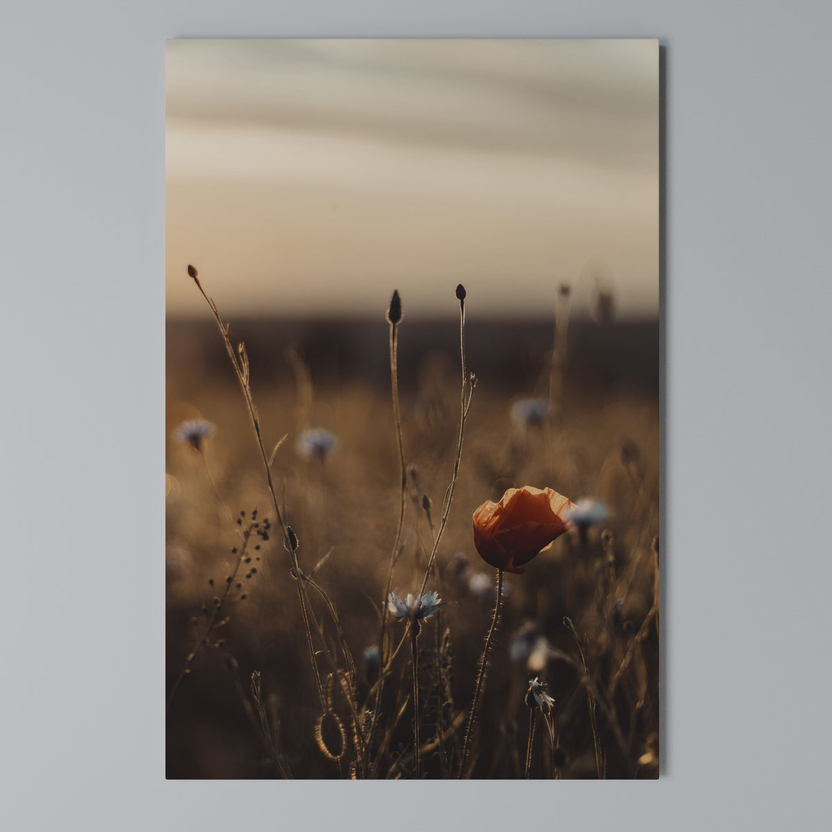 GLOWING MEADOWS AT DUSK Cuadro en lienzo vertical