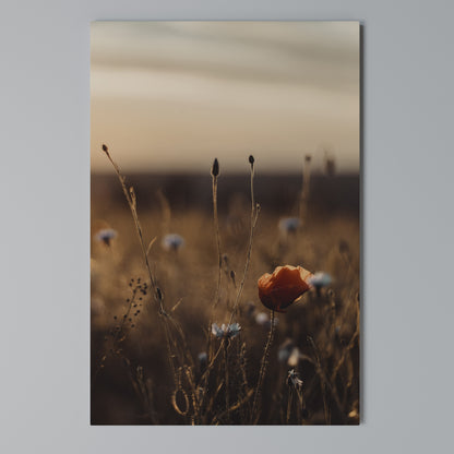 GLOWING MEADOWS AT DUSK Cuadro en lienzo vertical