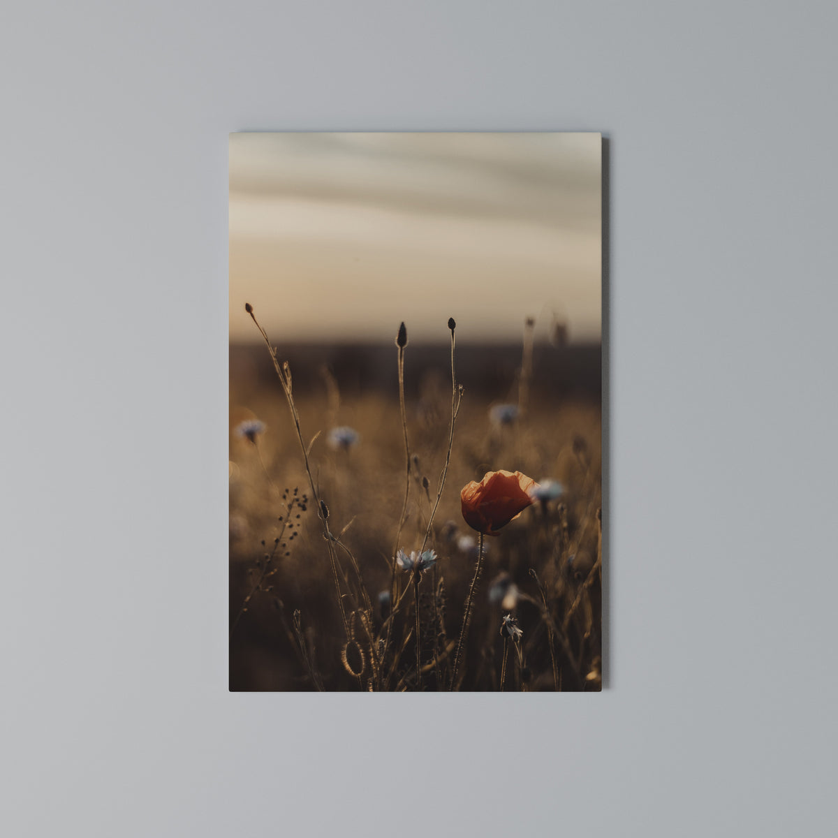 GLOWING MEADOWS AT DUSK Cuadro en lienzo vertical