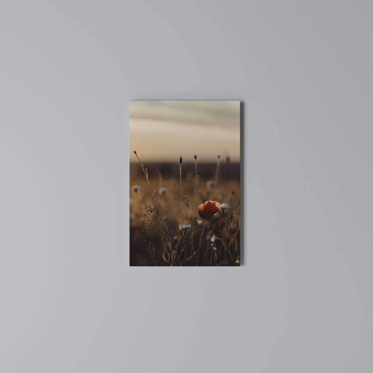 GLOWING MEADOWS AT DUSK Cuadro en lienzo vertical