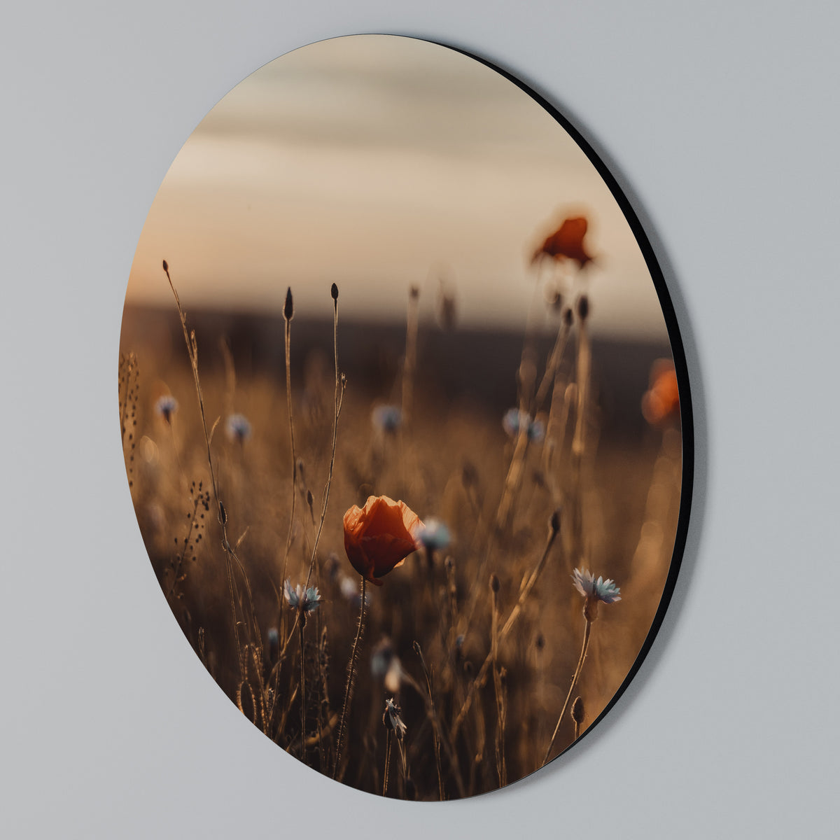 GLOWING MEADOWS AT DUSK Arte de pared redondo