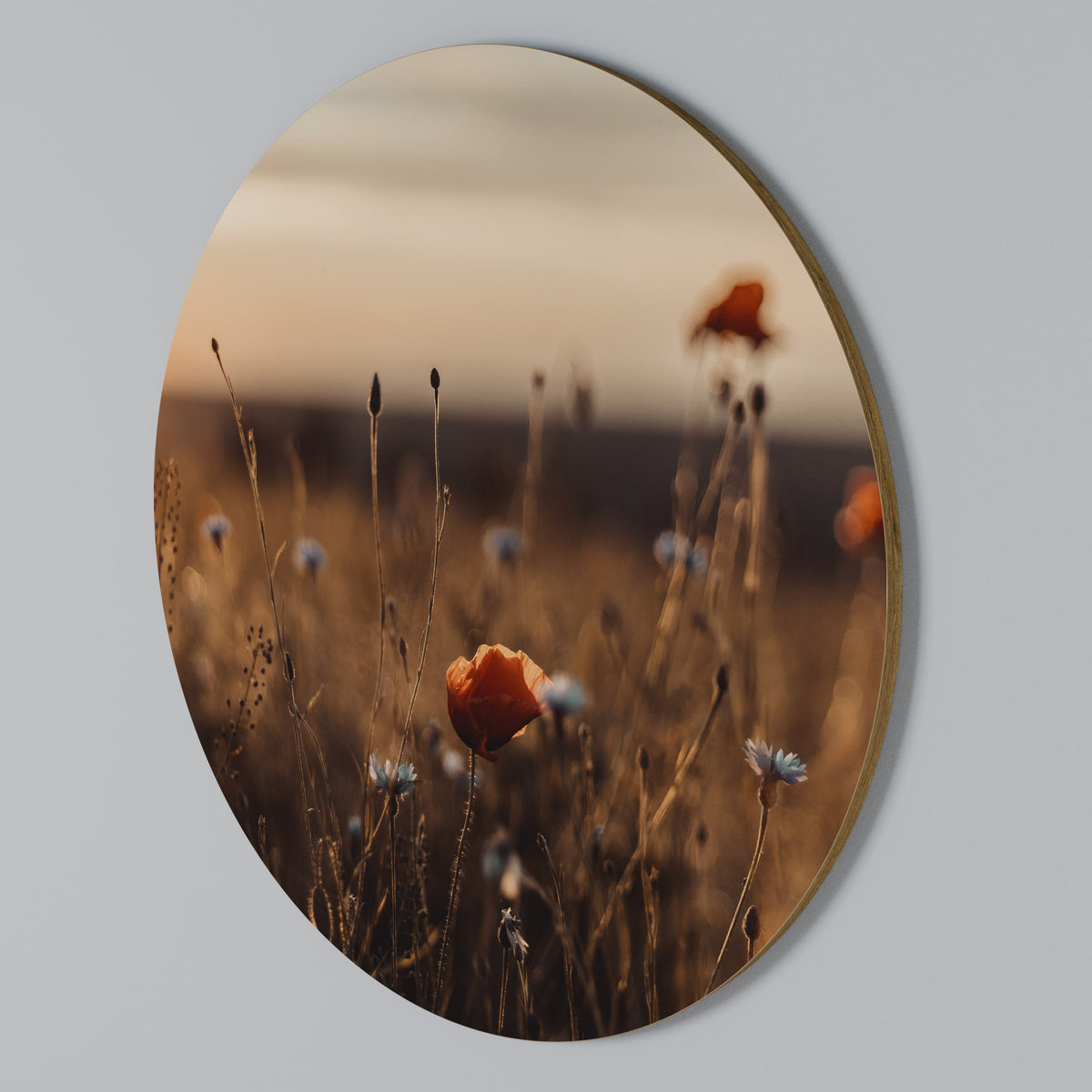 GLOWING MEADOWS AT DUSK Arte de pared redondo