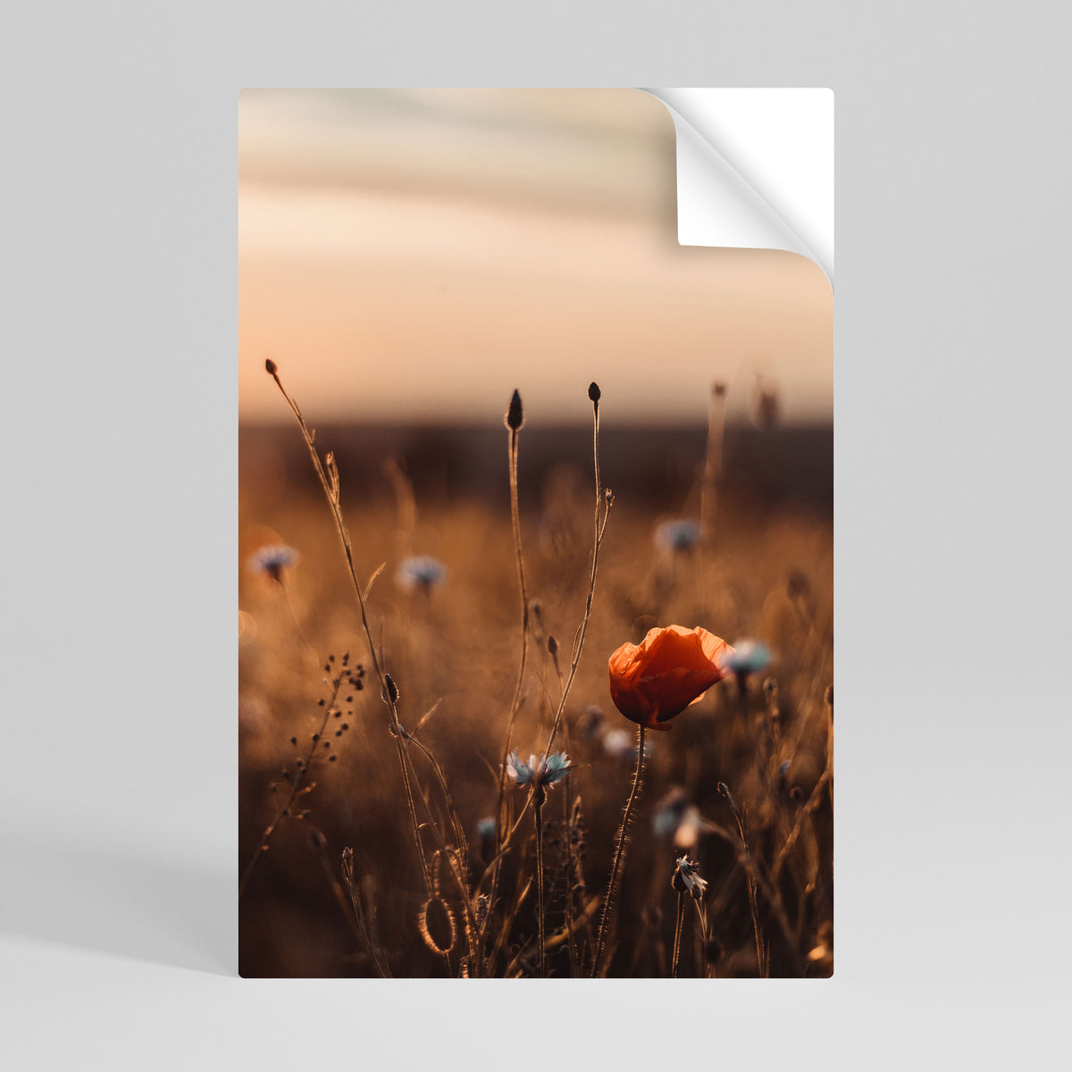 GLOWING MEADOWS AT DUSK Póster adhesivo vertical