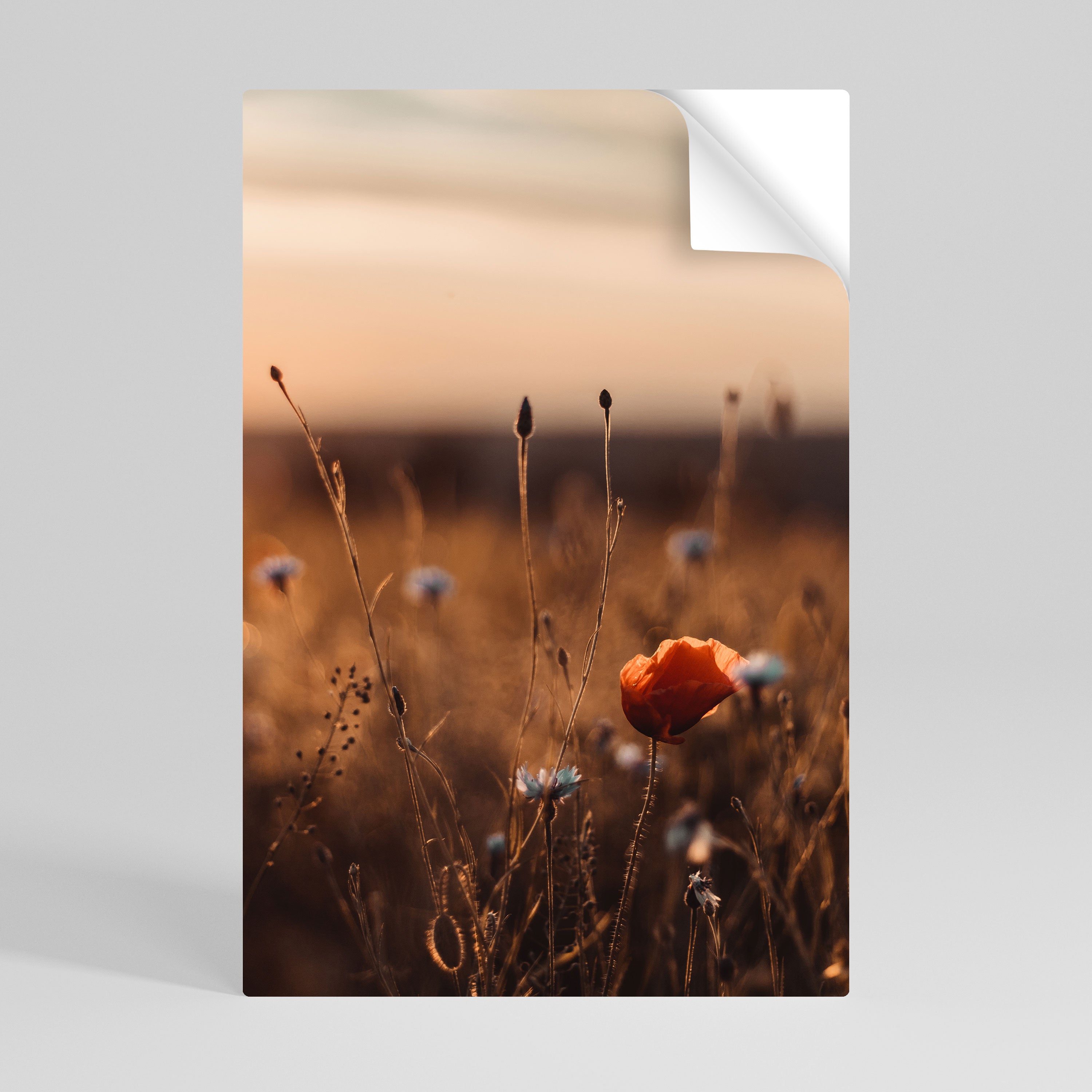 GLOWING MEADOWS AT DUSK Peel and Stick Vertical Poster