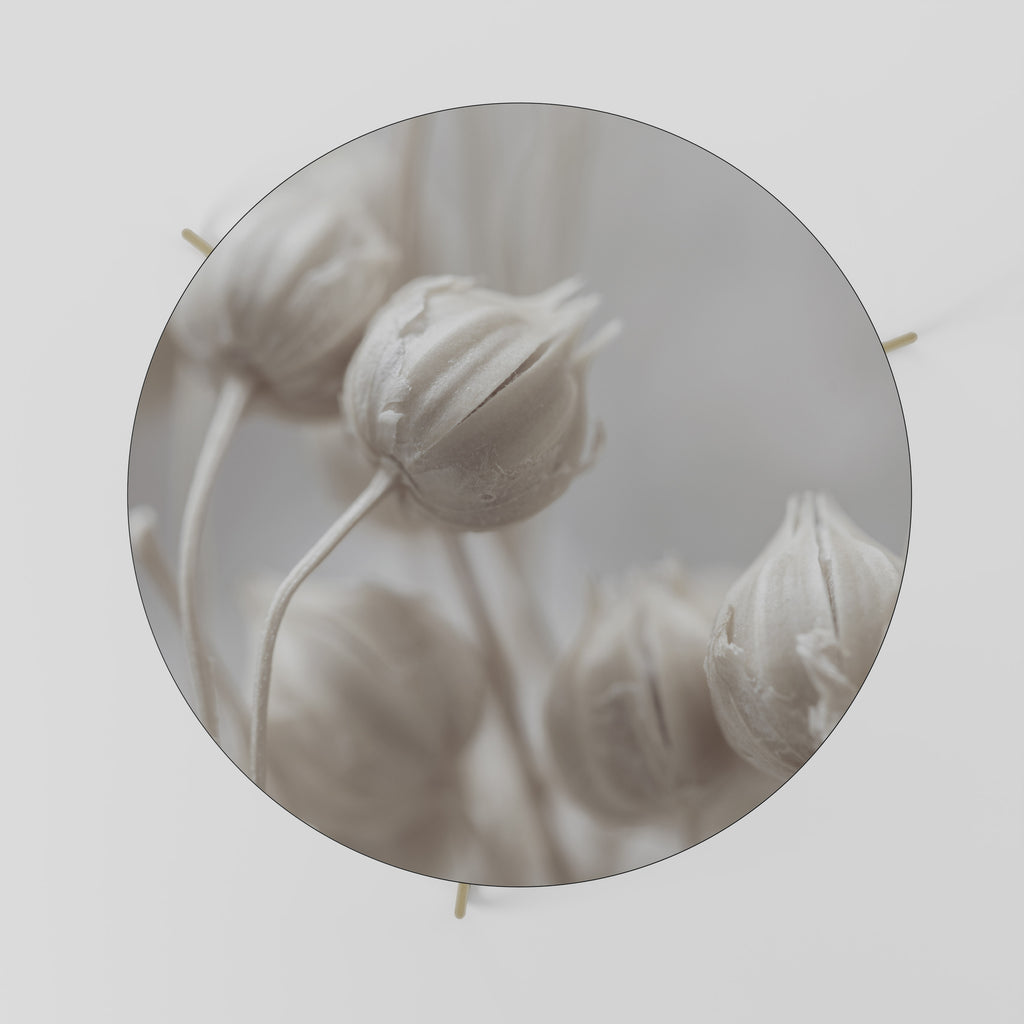 Mesa de centro MYSTICAL BOTANICAL BLUSH 69