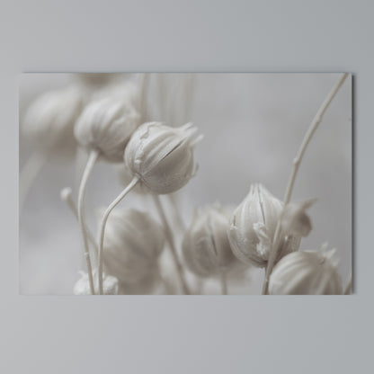 MYSTICAL BOTANICAL BLUSH Cuadro en lienzo horizontal