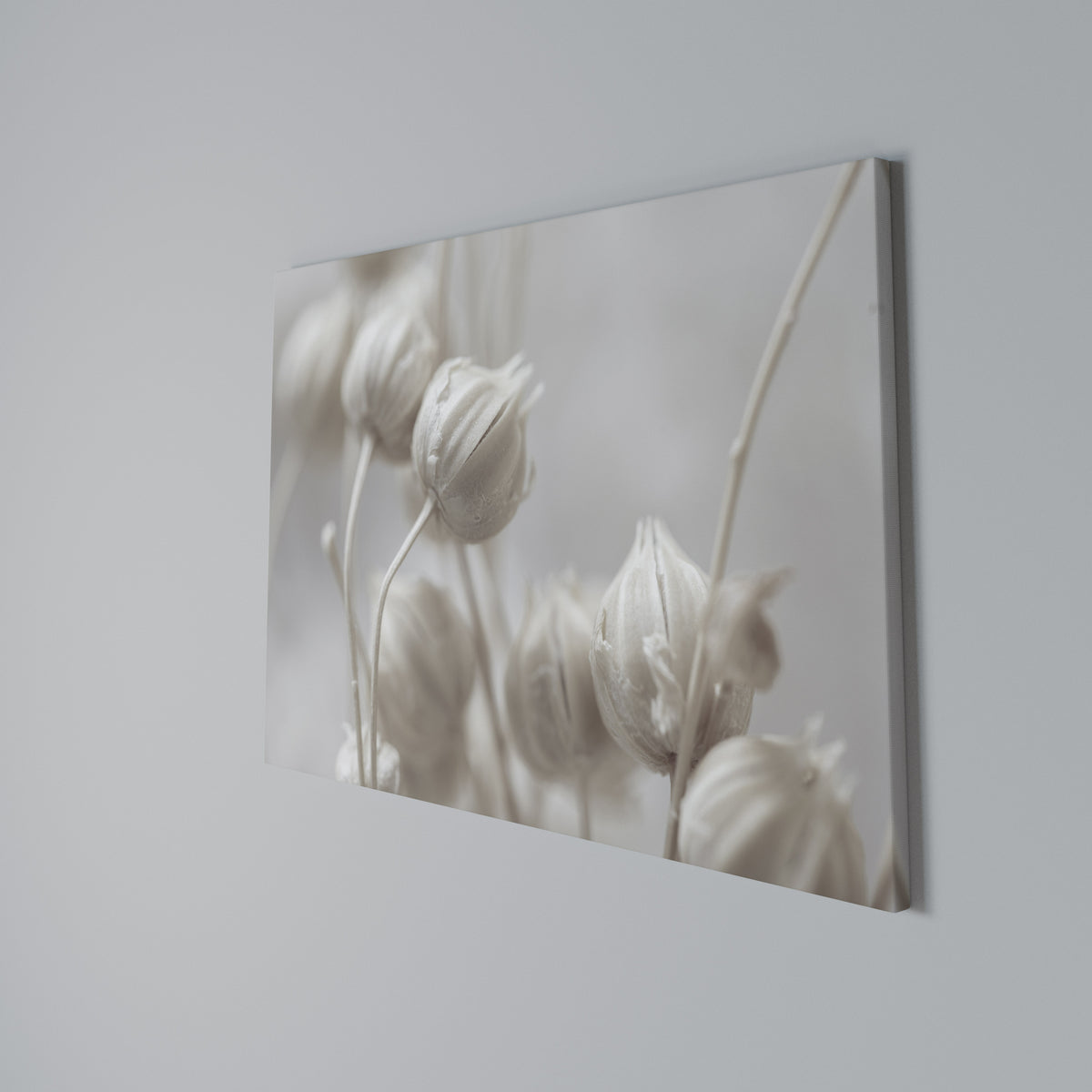 MYSTICAL BOTANICAL BLUSH Cuadro en lienzo horizontal