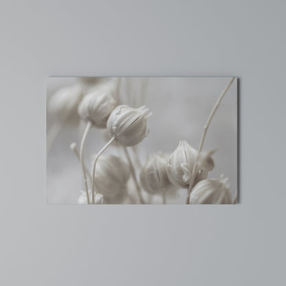 MYSTICAL BOTANICAL BLUSH Cuadro en lienzo horizontal