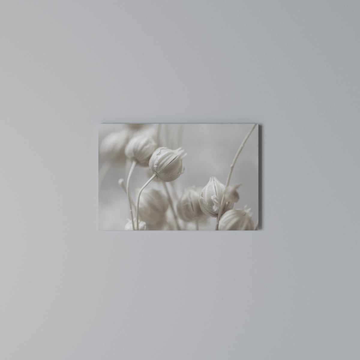 MYSTICAL BOTANICAL BLUSH Cuadro en lienzo horizontal