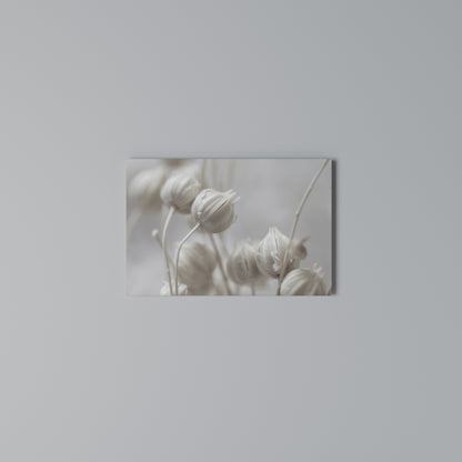 MYSTICAL BOTANICAL BLUSH Cuadro en lienzo horizontal