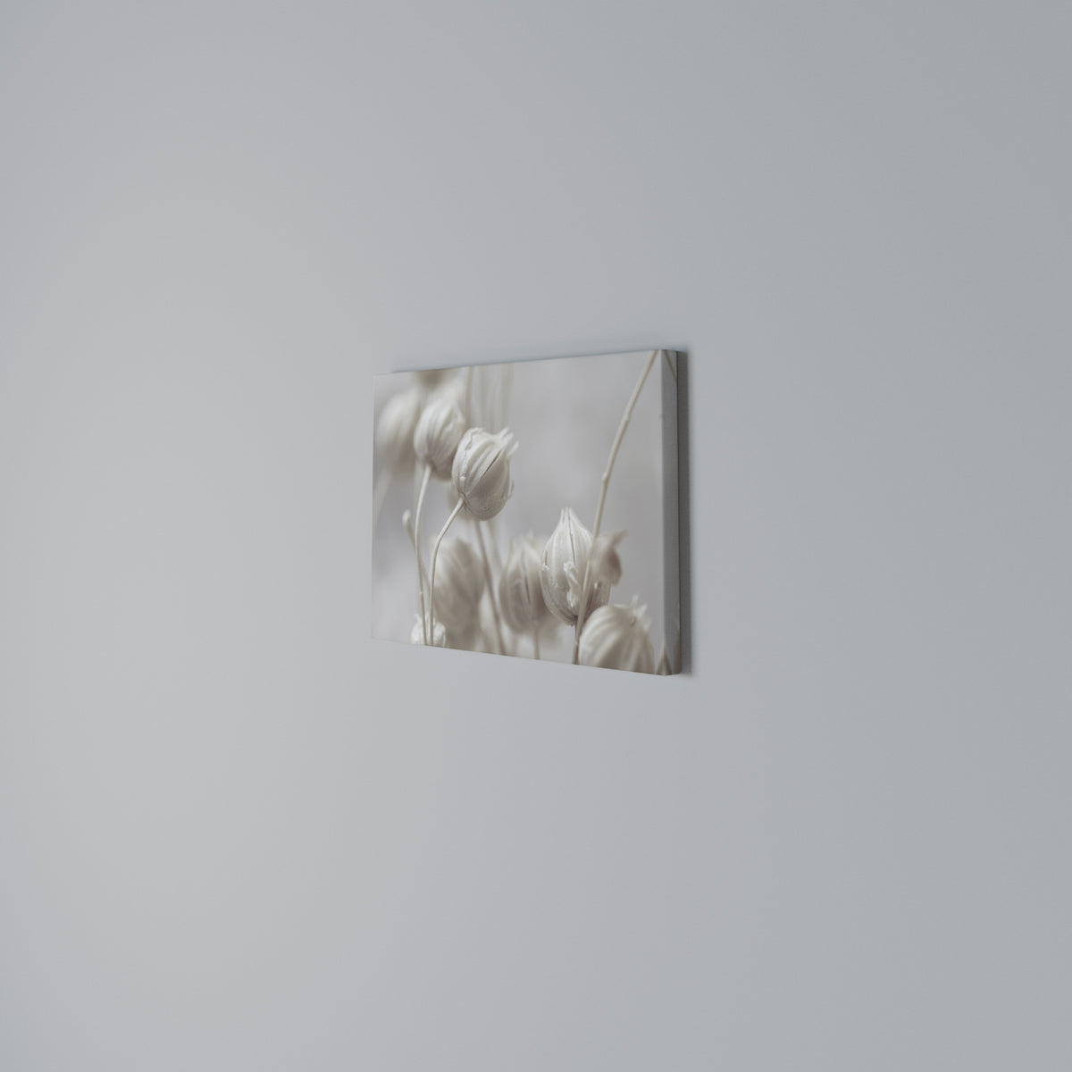 MYSTICAL BOTANICAL BLUSH Cuadro en lienzo horizontal
