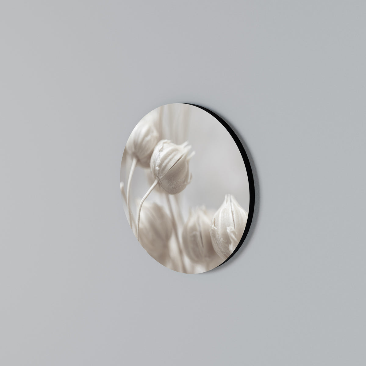 MYSTICAL BOTANICAL BLUSH Arte de pared redondo