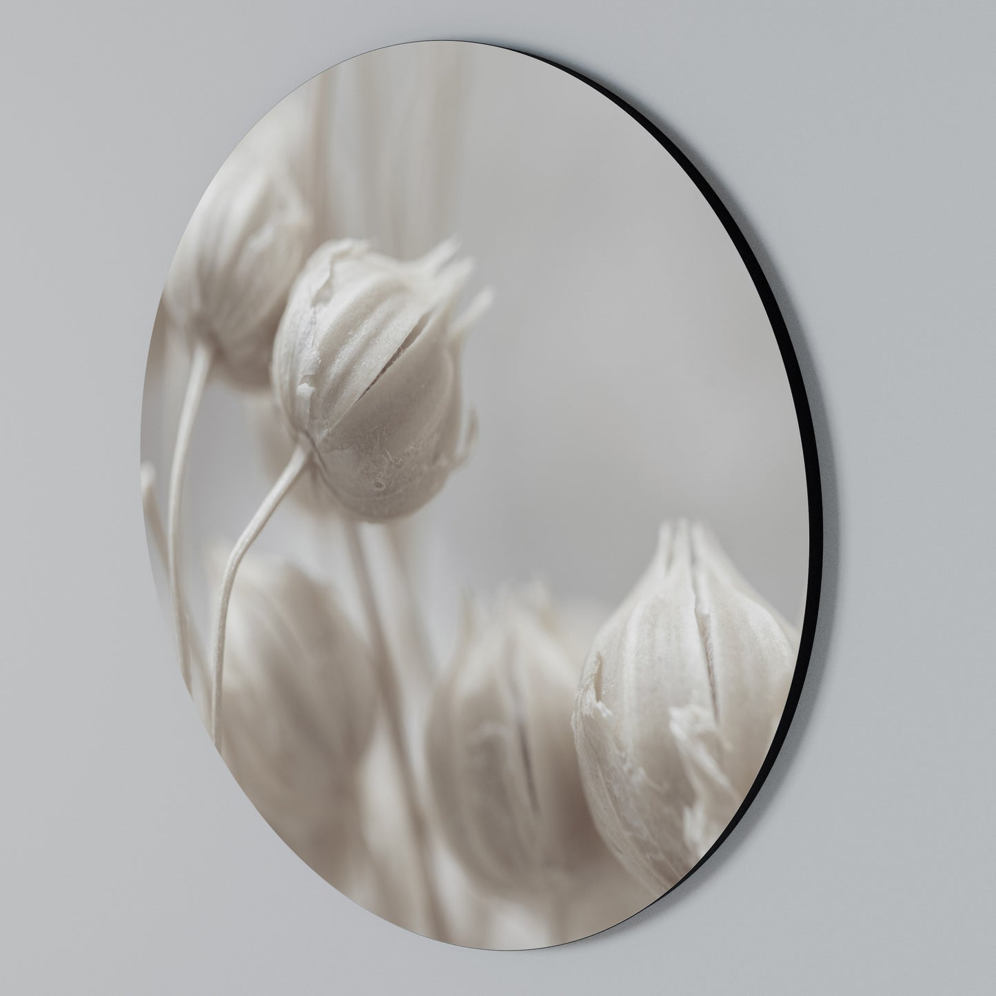 MYSTICAL BOTANICAL BLUSH Arte de pared redondo