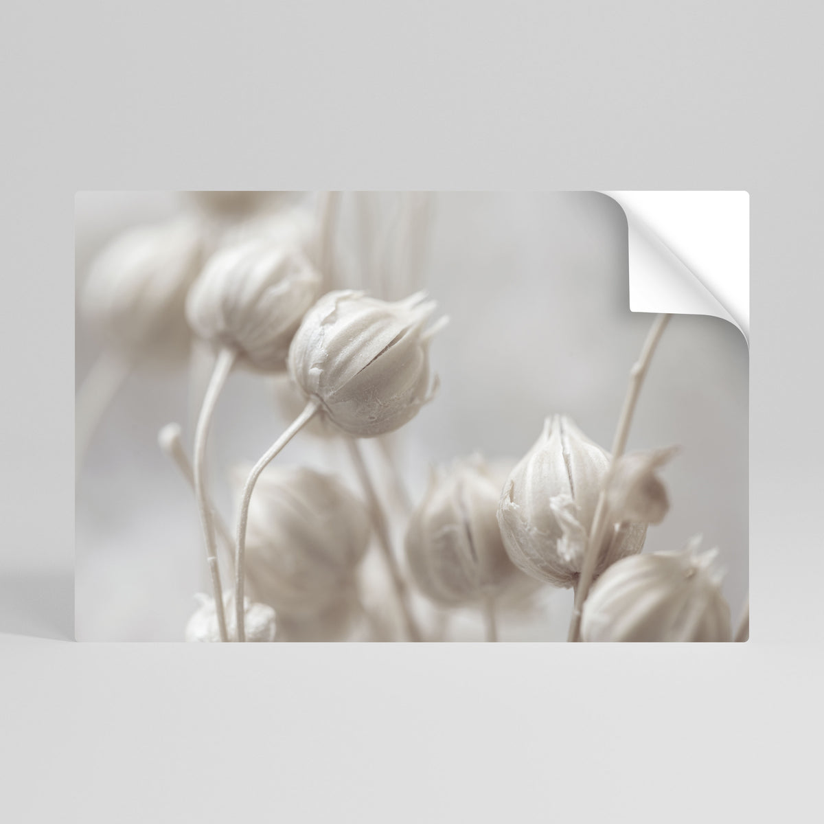 MYSTICAL BOTANICAL BLUSH Póster adhesivo horizontal