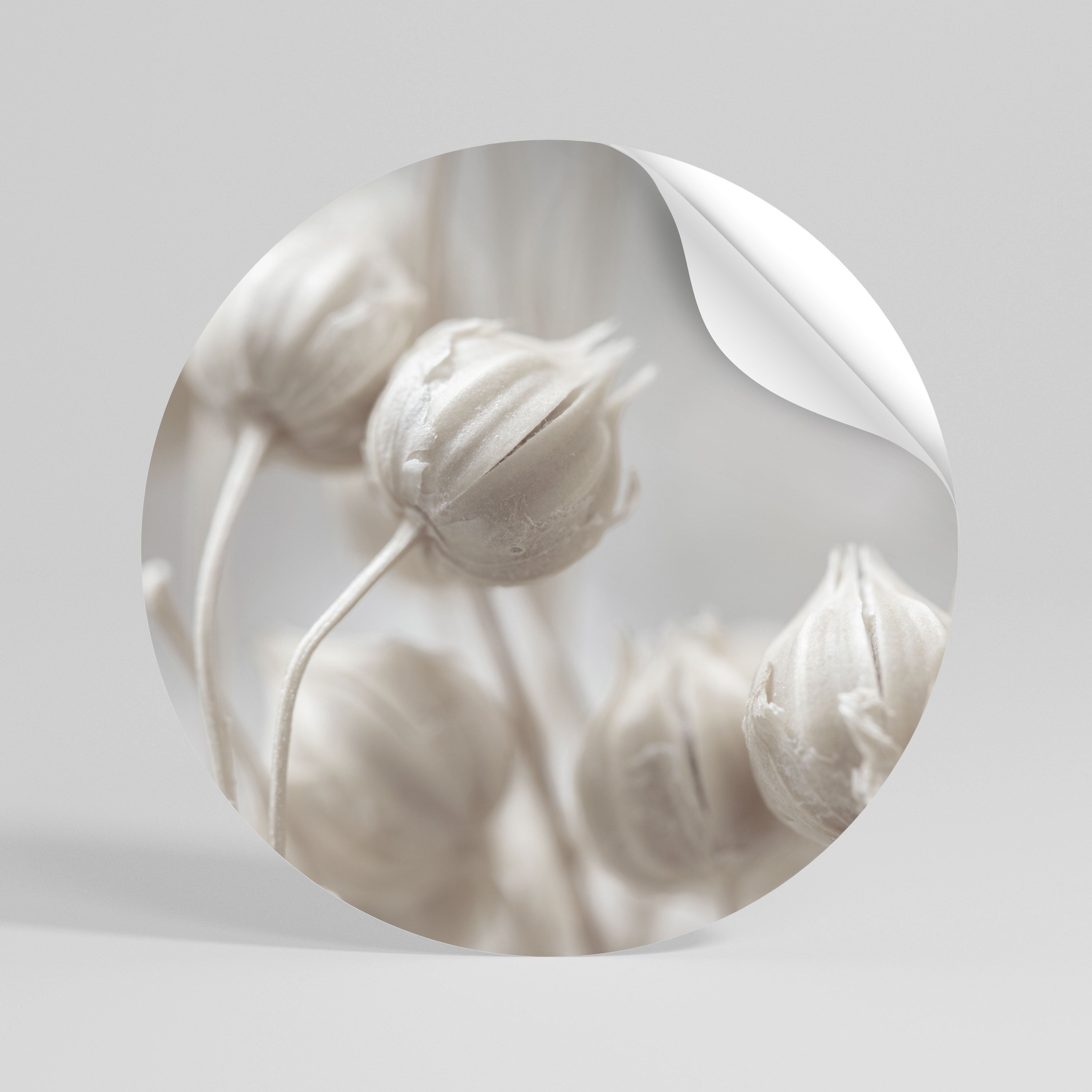 MYSTICAL BOTANICAL BLUSH Peel and Stick Round Sticker