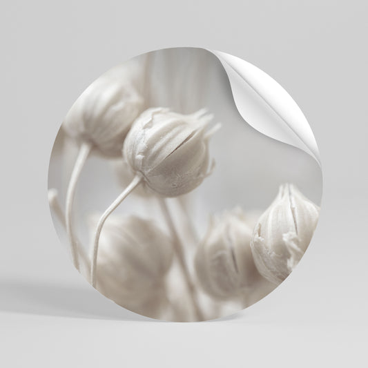 MYSTICAL BOTANICAL BLUSH Vinilo adhesivo redondo