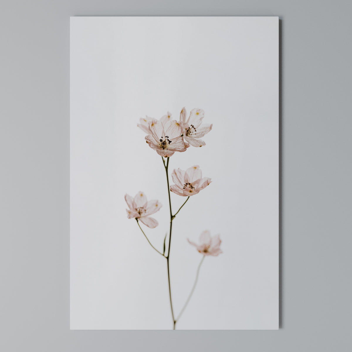 WHISPERS OF PINK Cuadro en lienzo vertical