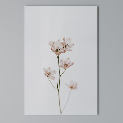 WHISPERS OF PINK Cuadro en lienzo vertical