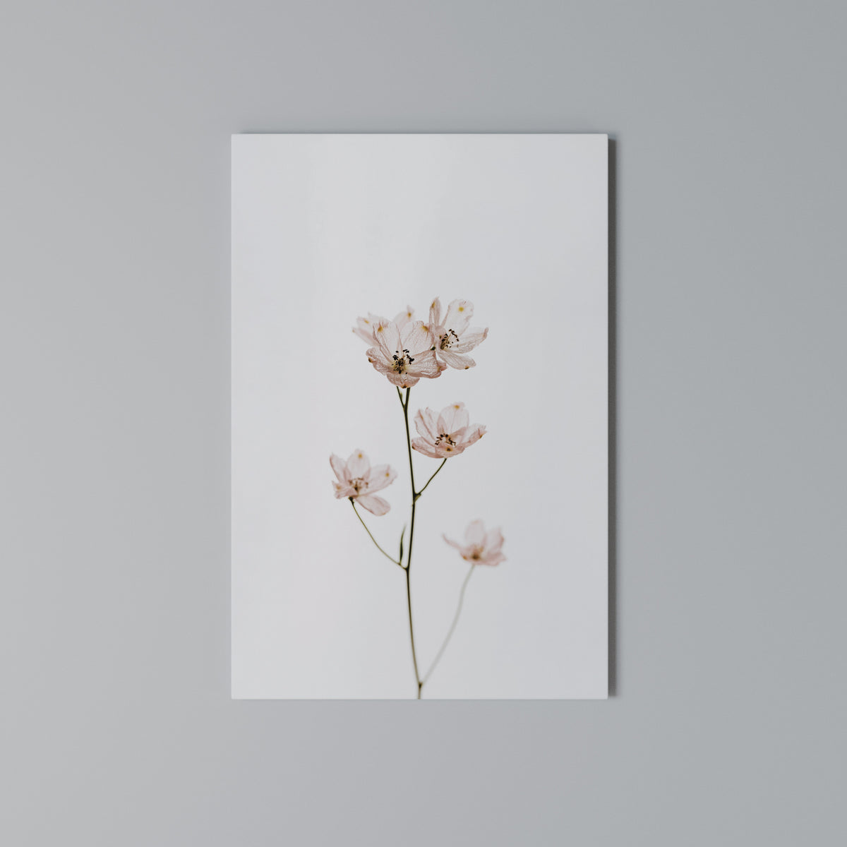 WHISPERS OF PINK Cuadro en lienzo vertical