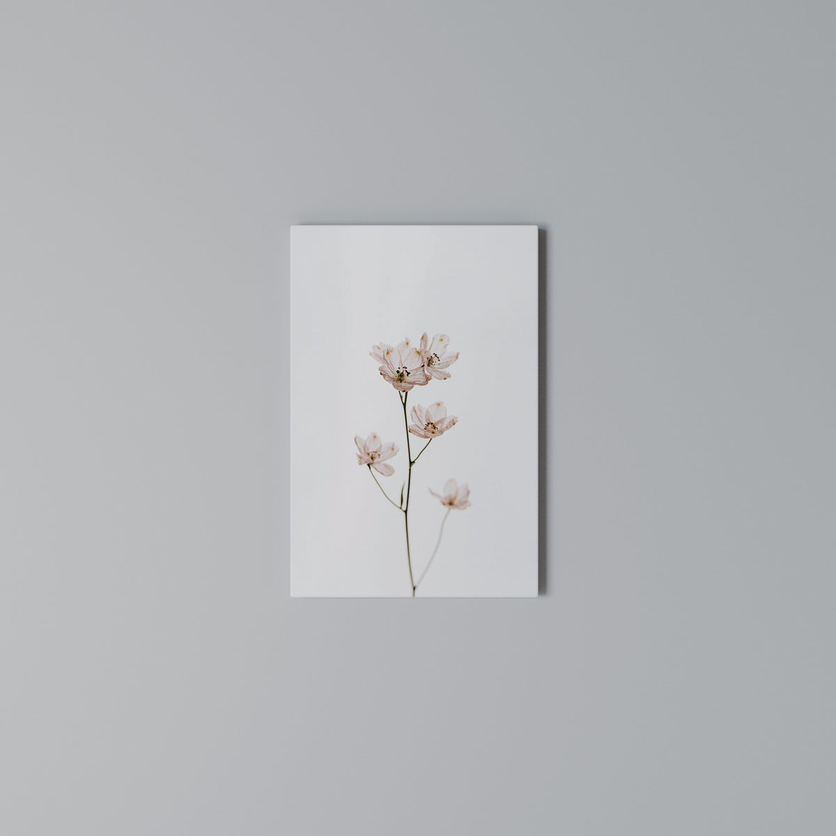 WHISPERS OF PINK Cuadro en lienzo vertical