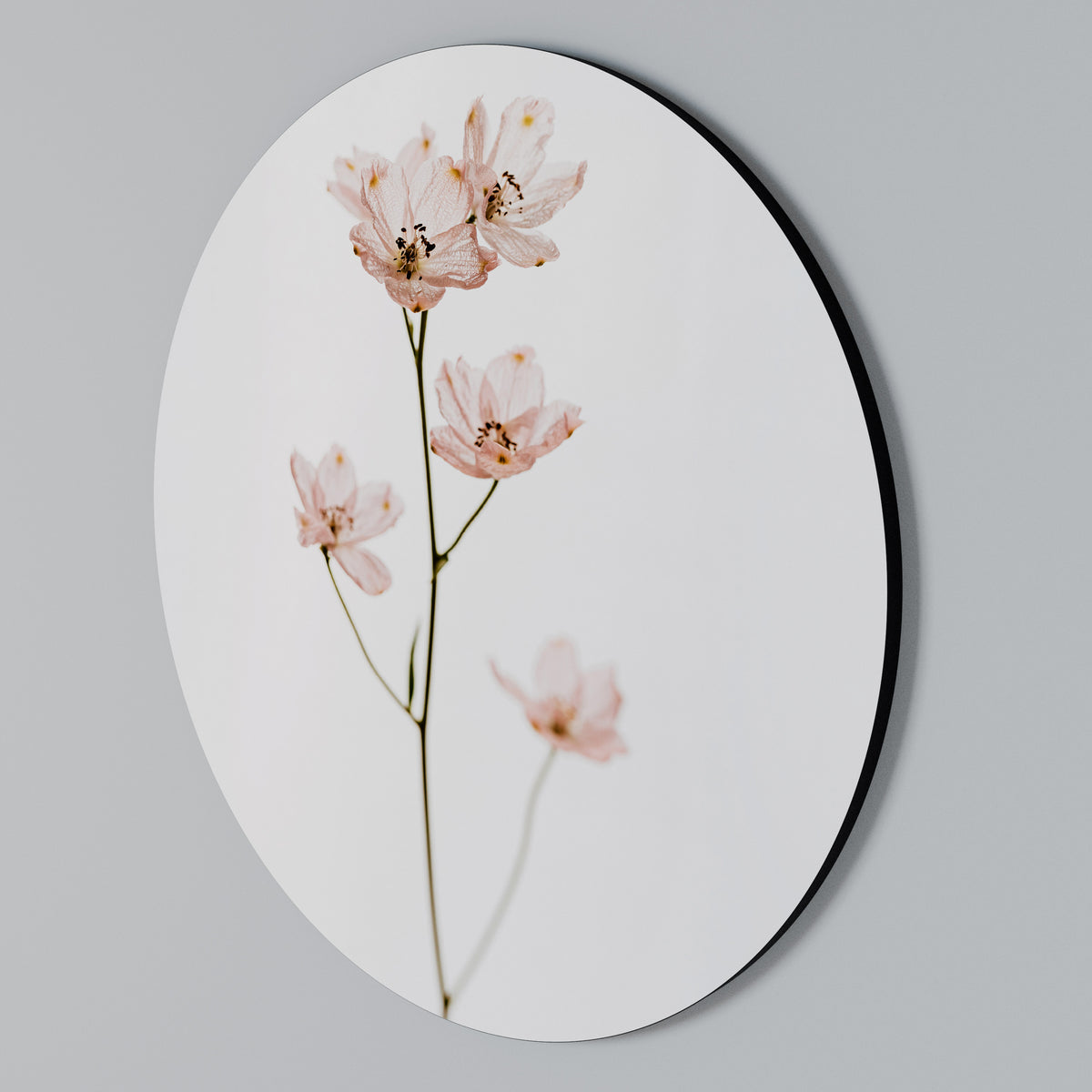 WHISPERS OF PINK Arte de pared redondo