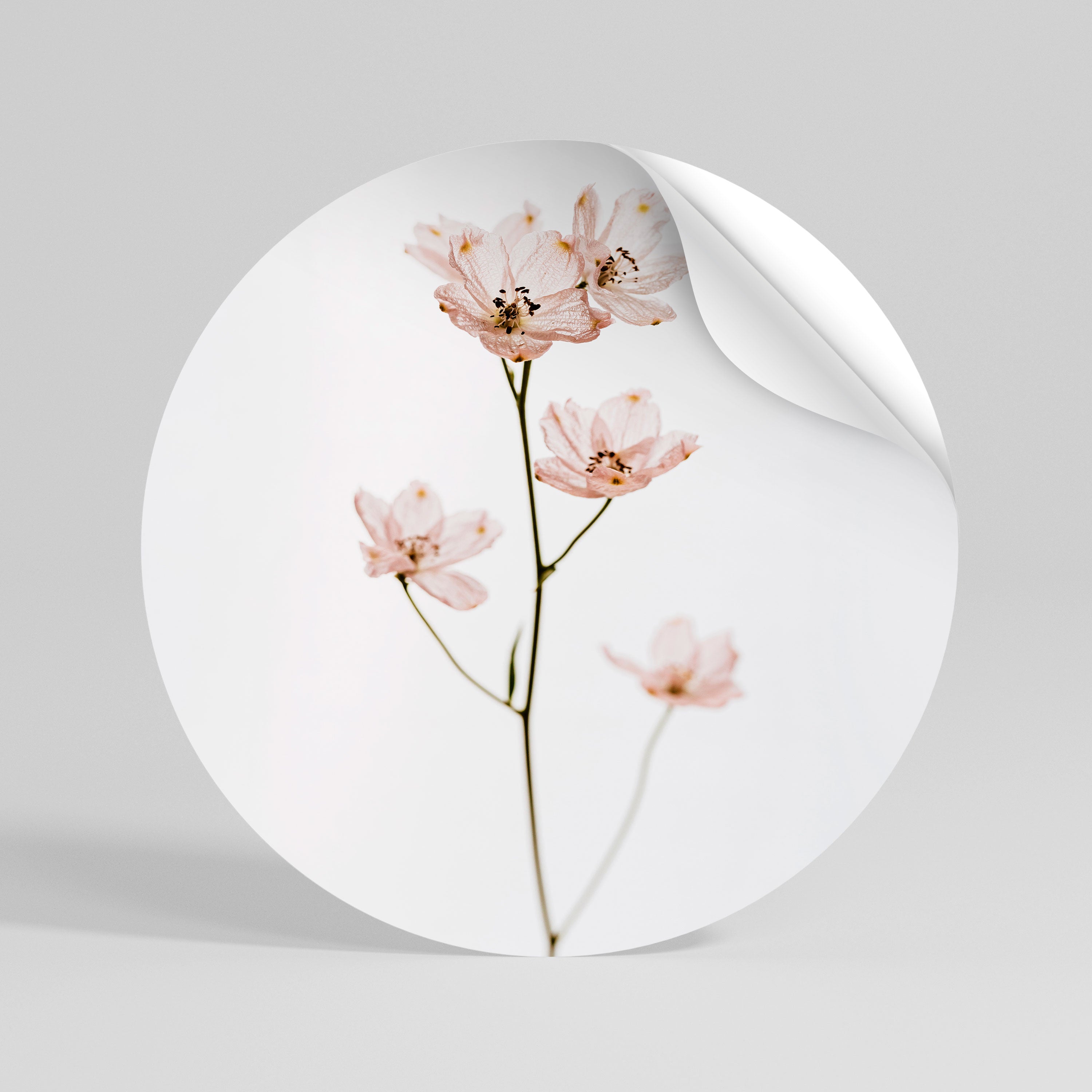 WHISPERS OF PINK Peel and Stick Round Sticker