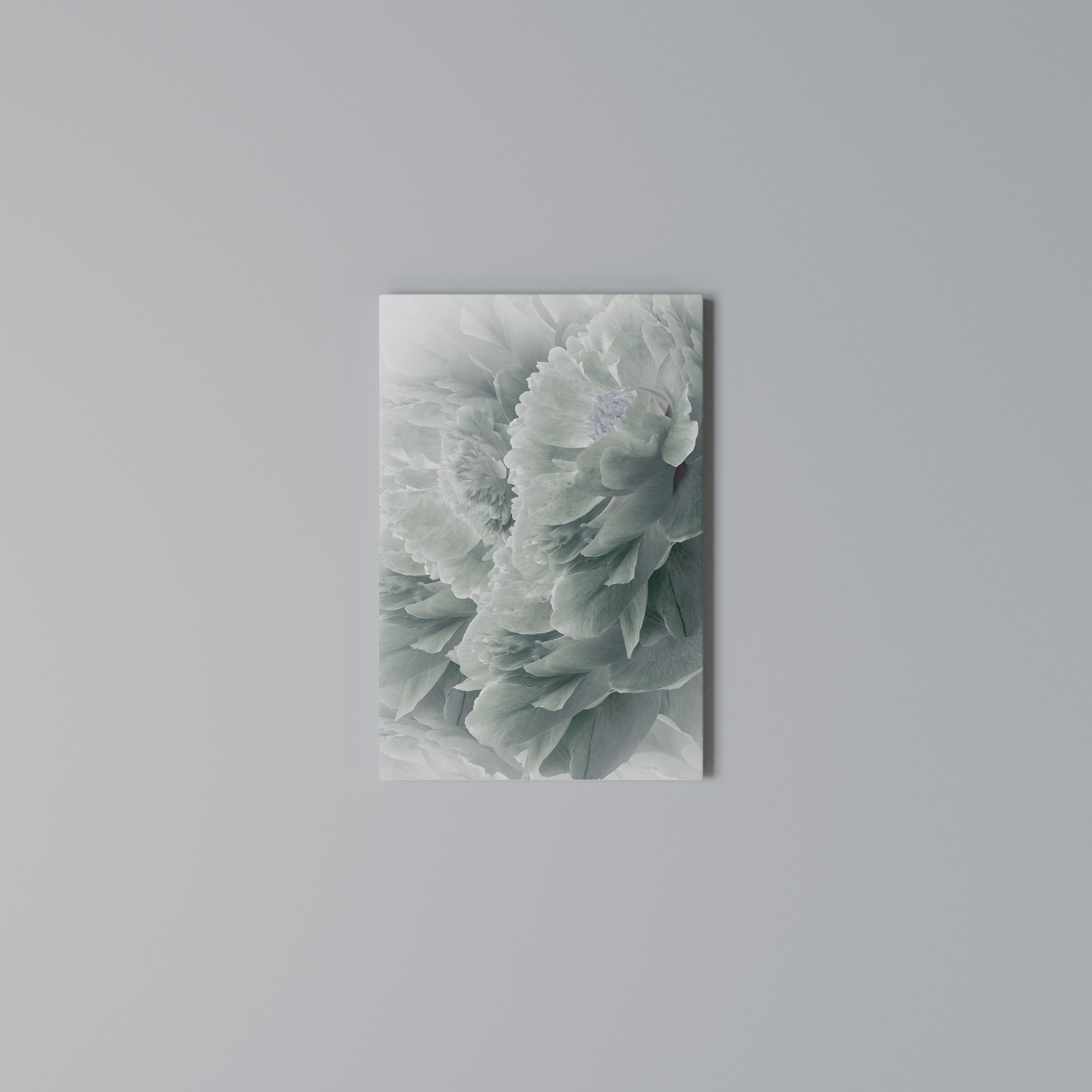 TREE PEONIES Cuadro en lienzo vertical