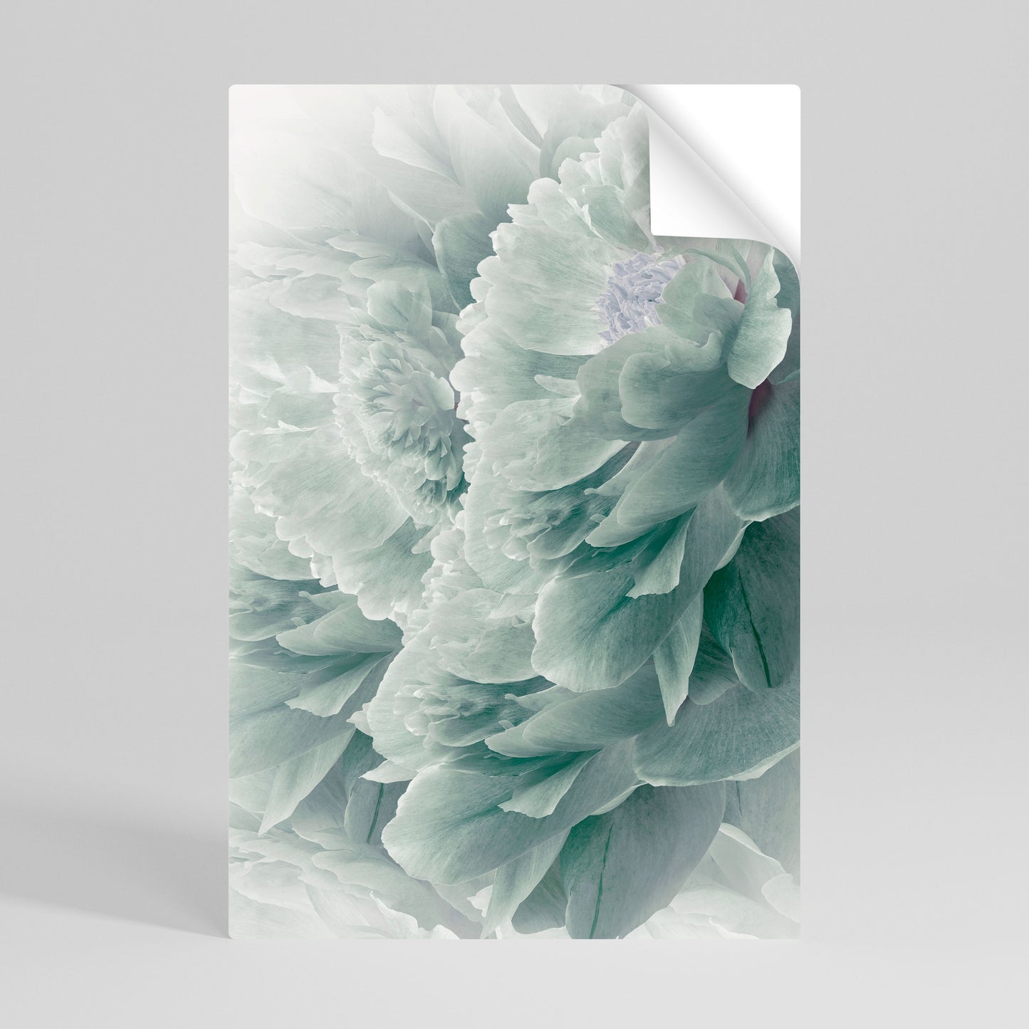 TREE PEONIES Póster adhesivo vertical