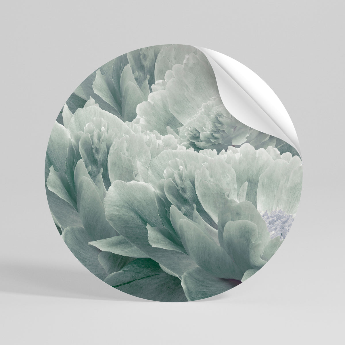 TREE PEONIES Vinilo adhesivo redondo