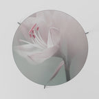 Mesa de centro GENTLE LILY 69