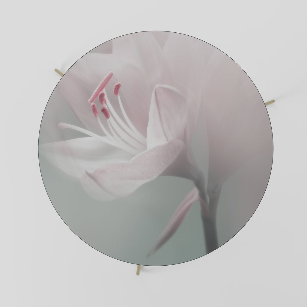 Mesa de centro GENTLE LILY 69