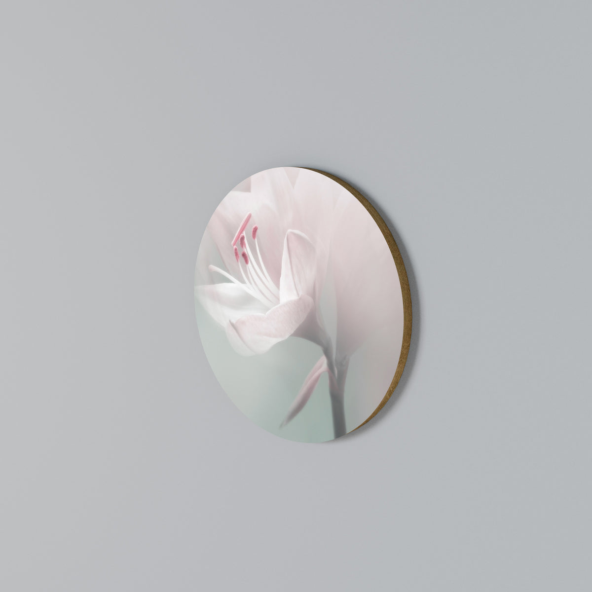 GENTLE LILY Arte de pared redondo