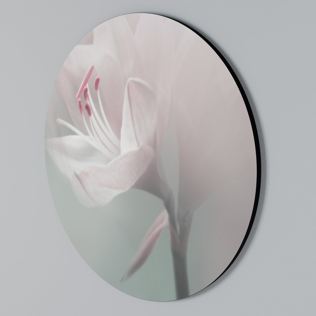 GENTLE LILY Arte de pared redondo