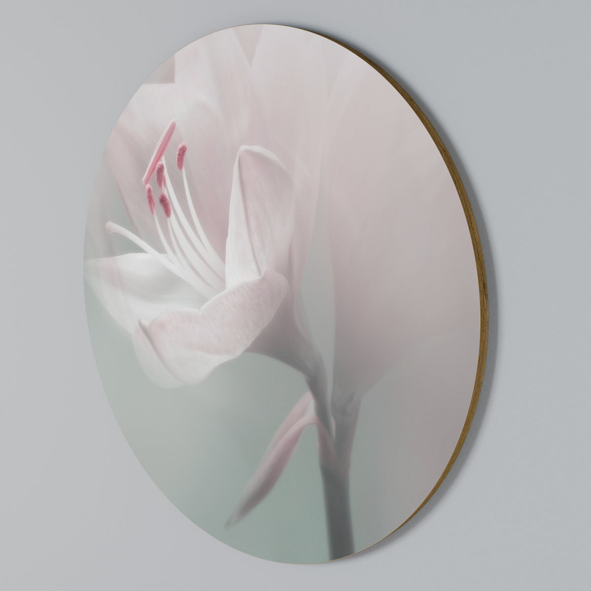 GENTLE LILY Arte de pared redondo