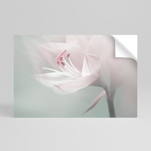 GENTLE LILY Póster adhesivo horizontal