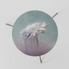 MELTING GERBERA Mesa de Centro Ø60