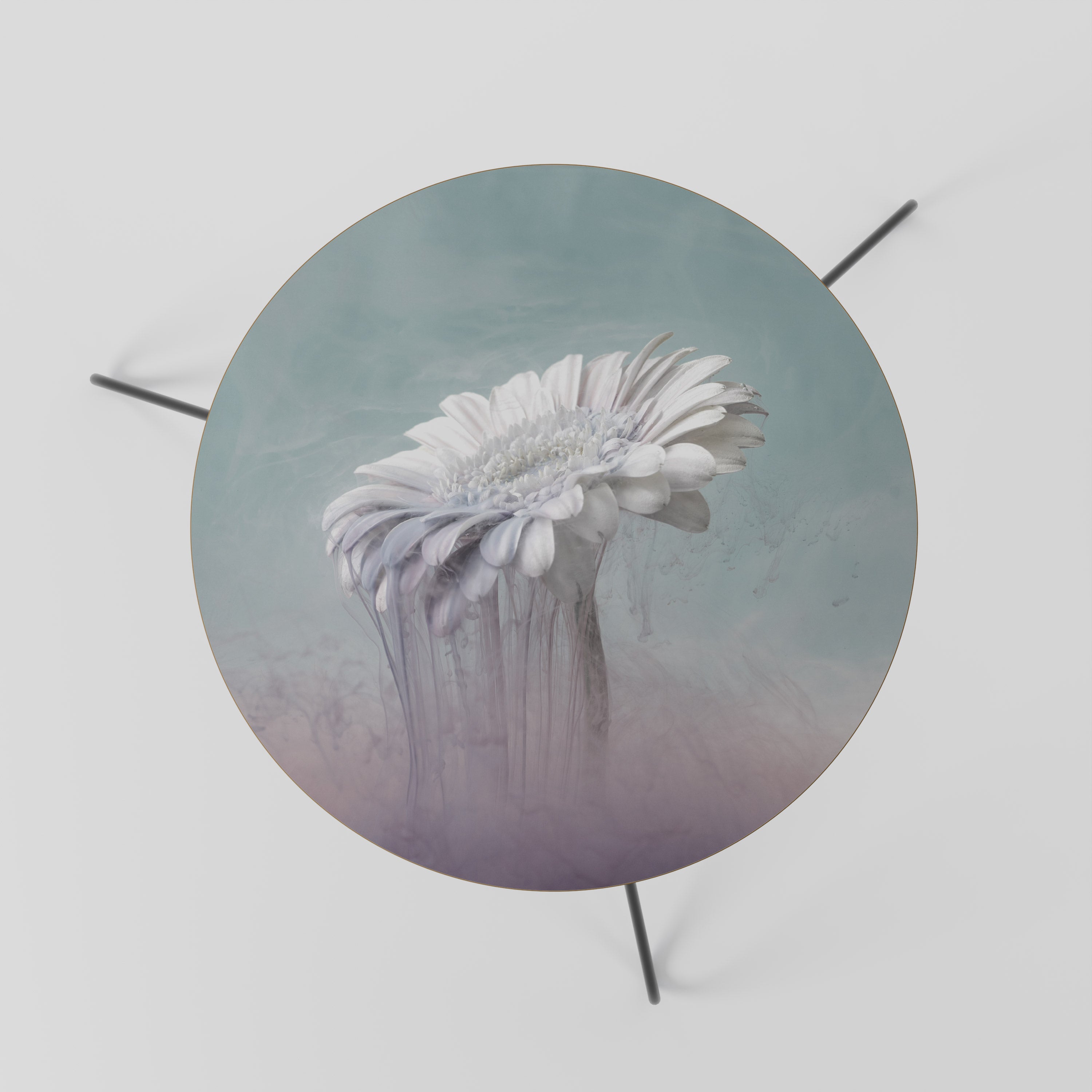 MELTING GERBERA Coffee Table 60