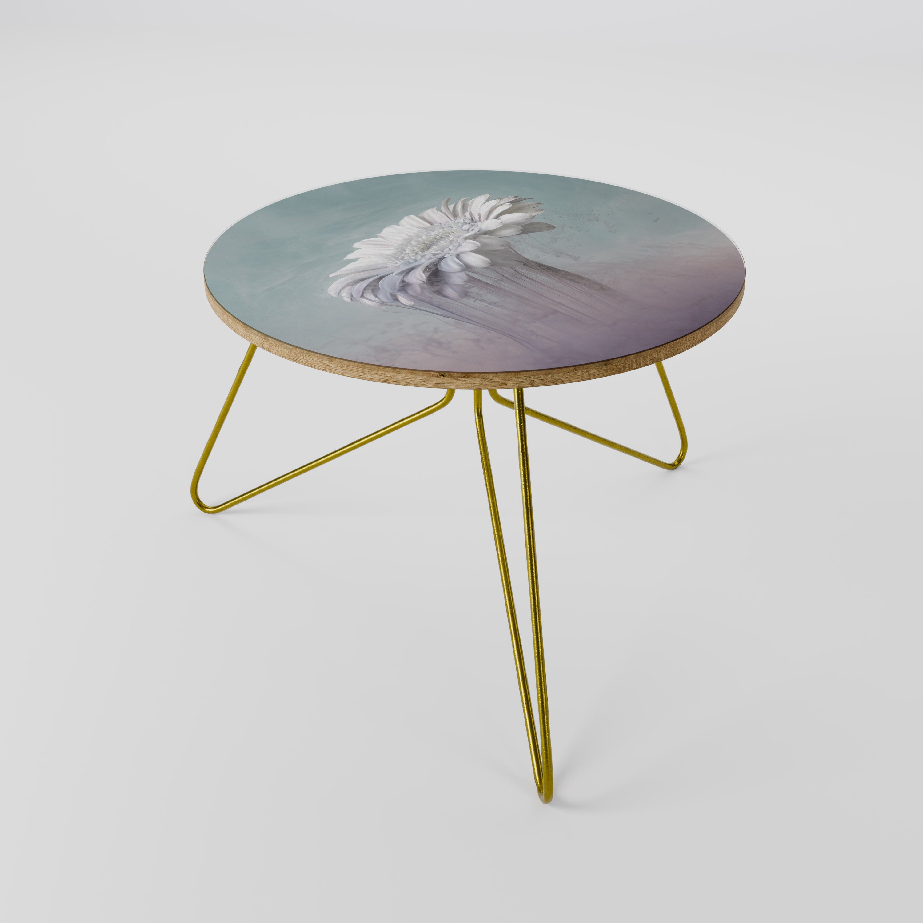 MELTING GERBERA Coffee Table 60