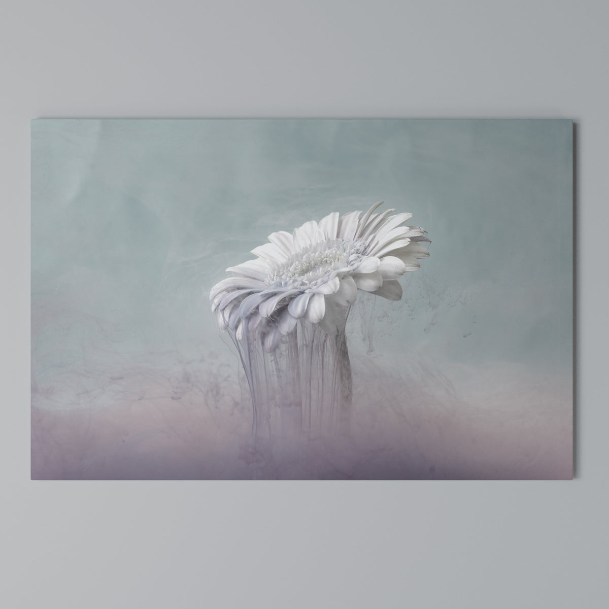 MELTING GERBERA Cuadro en lienzo horizontal