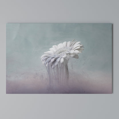 MELTING GERBERA Cuadro en lienzo horizontal