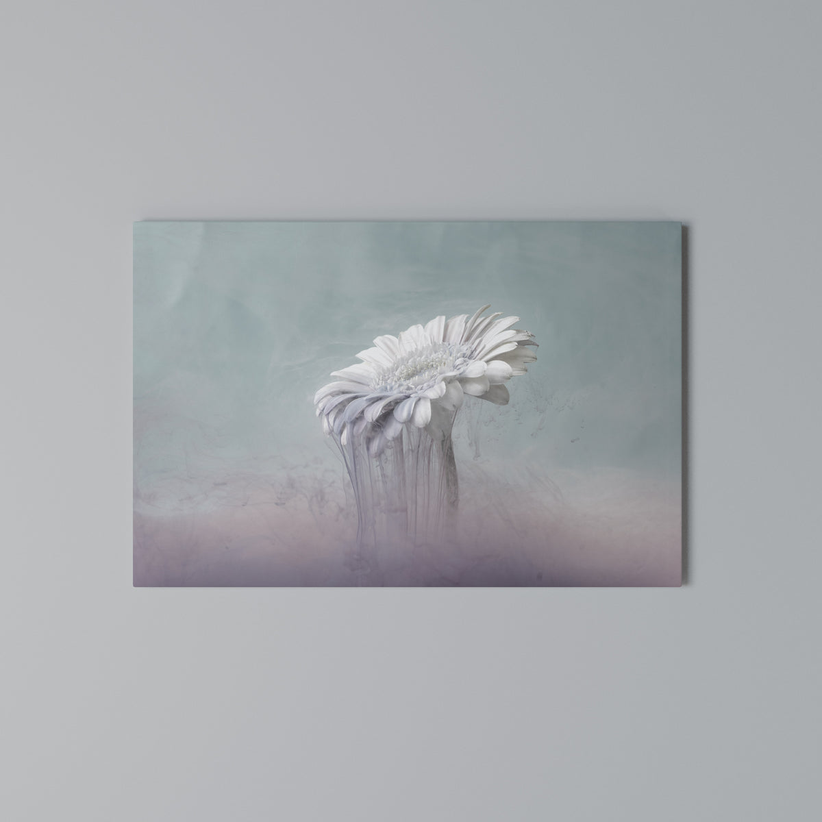 MELTING GERBERA Cuadro en lienzo horizontal
