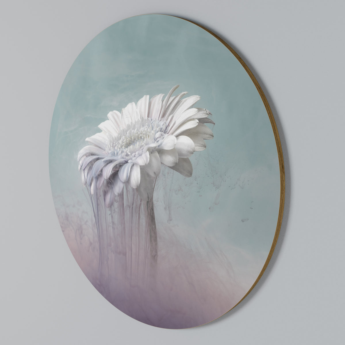 MELTING GERBERA Arte de pared redondo