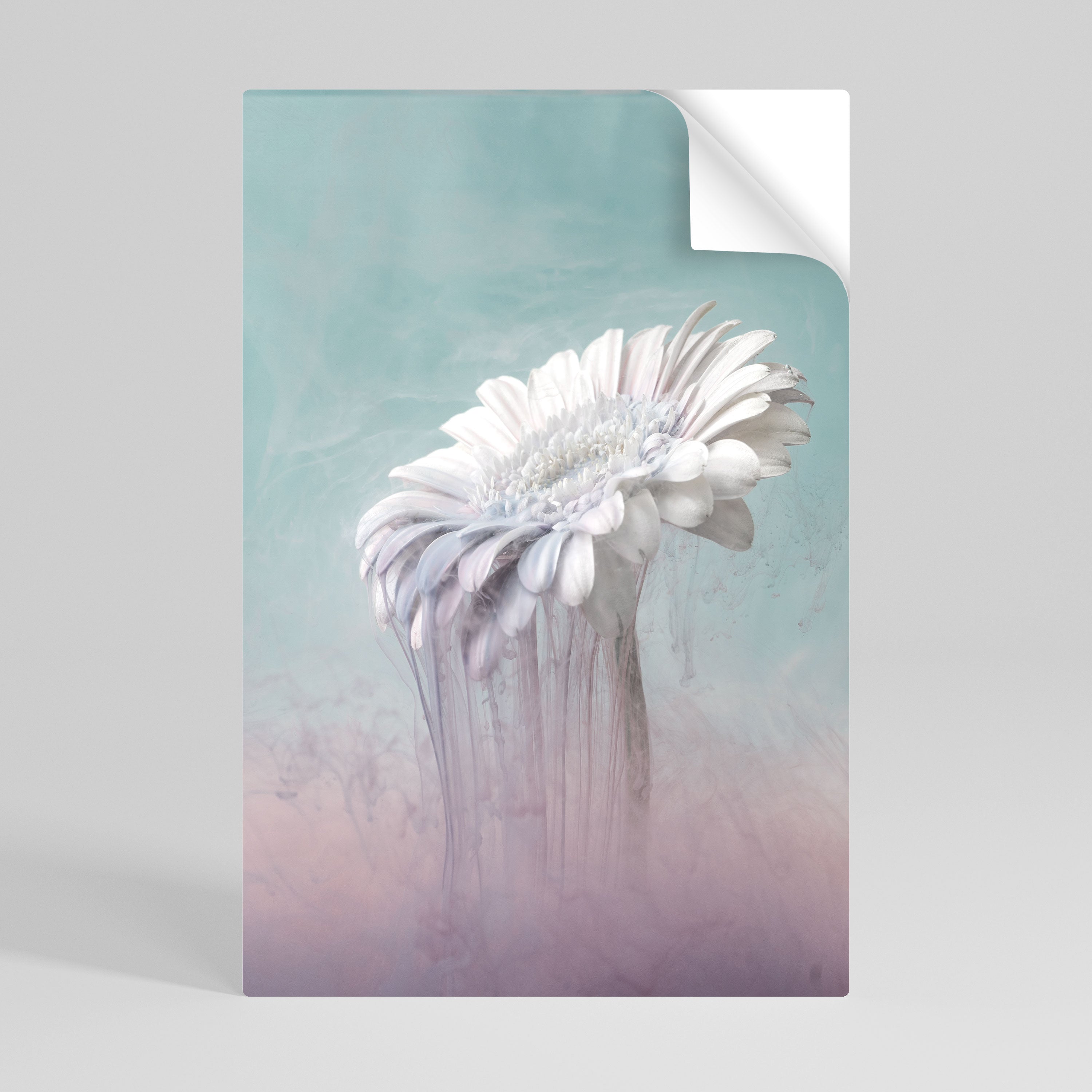 Póster vertical autoadhesivo de GERBERA DERRETIDA