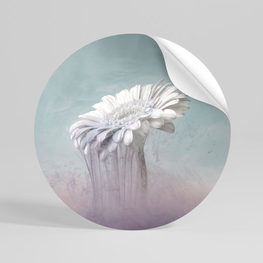MELTING GERBERA Vinilo adhesivo redondo