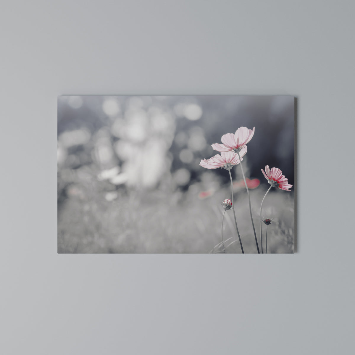 SUBTLE PETAL DANCE Cuadro en lienzo horizontal