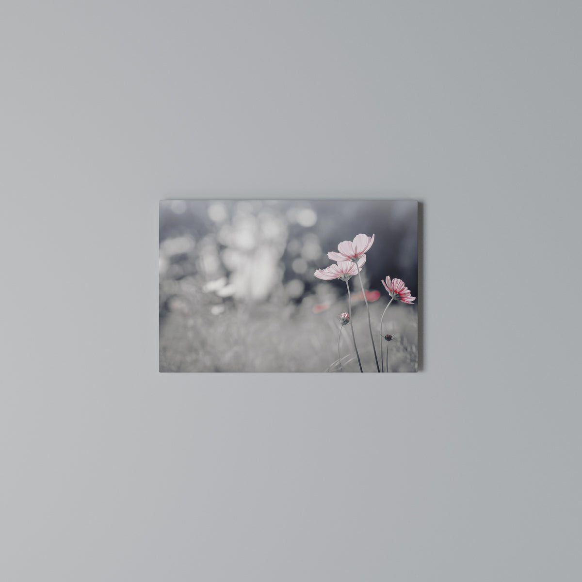 SUBTLE PETAL DANCE Cuadro en lienzo horizontal
